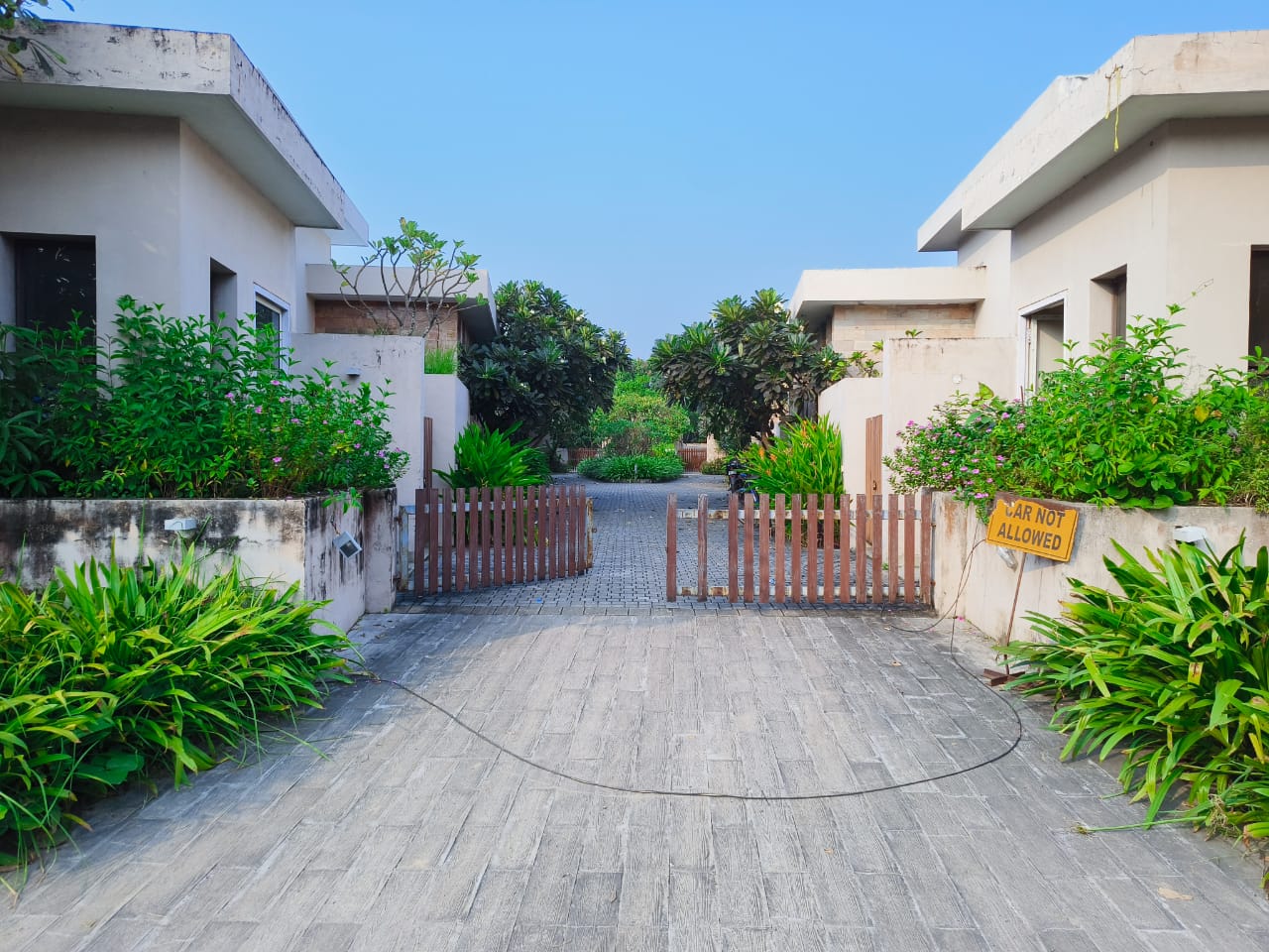 firangi paani view 33